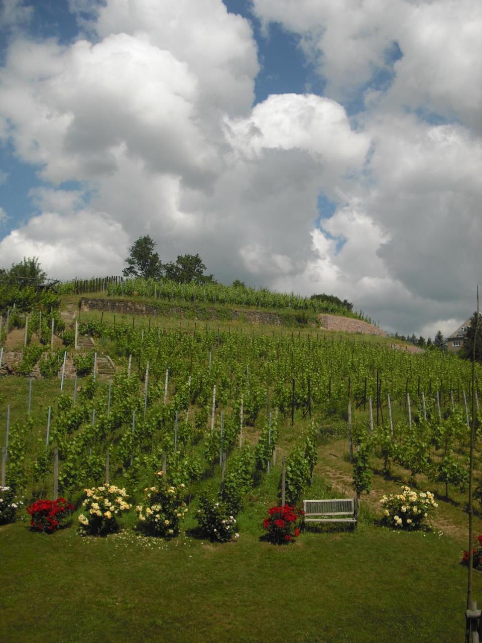 Weingut Mariaberg Apartment Meissen Exterior photo